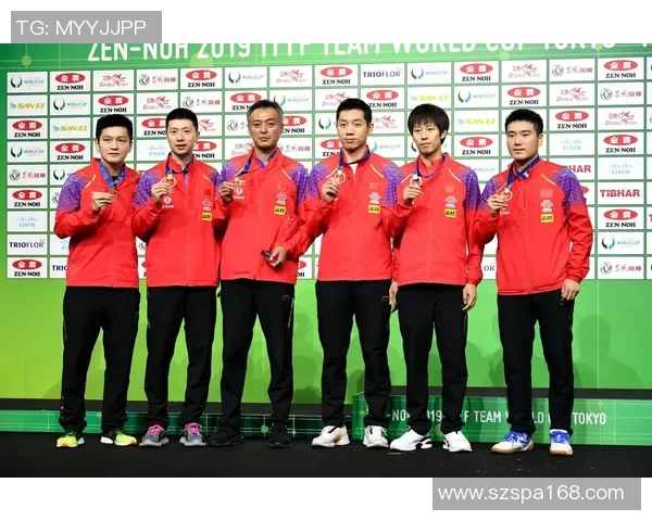 上海乒乓球队的速度之美与技术探秘全景分析