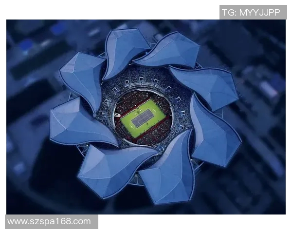 上海网球队的辉煌崛起与突破之路全景回顾