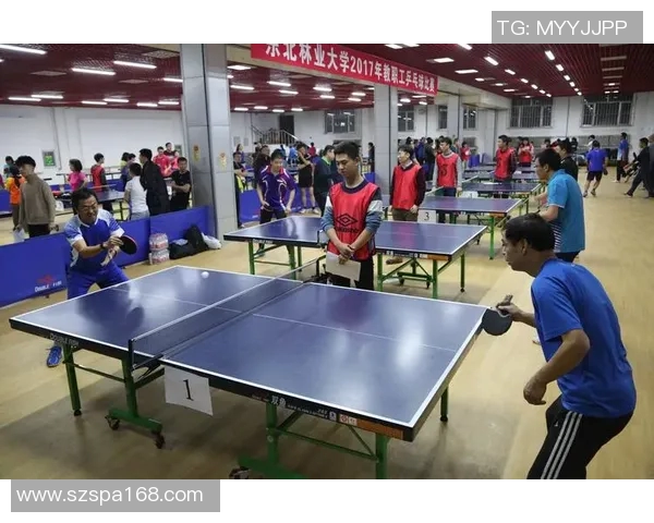 乒乓球比赛经验排行榜揭晓上海乒乓球队荣登第三名引发关注