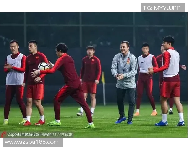 广州排球队的崛起之路联合会杯特别报道见证成长与荣耀