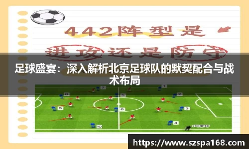 足球盛宴：深入解析北京足球队的默契配合与战术布局